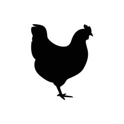 Hen Silhouette Isolated On White Background.