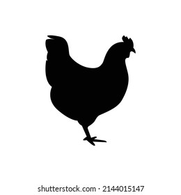 Hen silhouette isolated on white background.