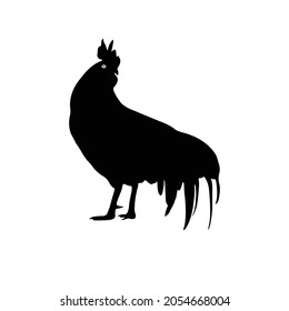 Hen Silhouette on isolated background. Vector drawing
