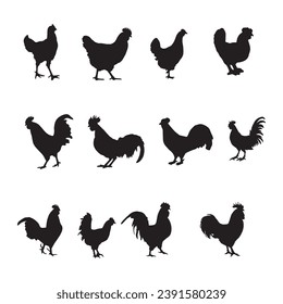 Hen silhouette set line art, Hen outline, Black and white, mother hen, mother and child hen