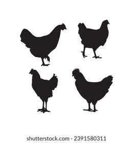 Hen silhouette set line art, Hen outline, Black and white, mother hen, mother and child hen