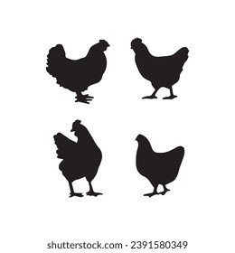 Hen silhouette set line art, Hen outline, Black and white, mother hen, mother and child hen
