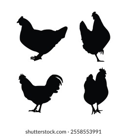 Hen silhouette set, hen silhouette, Hen vector set design
