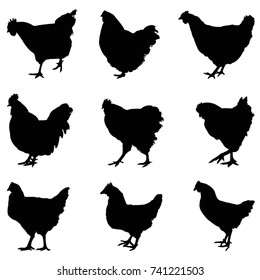 Hen silhouette set, vector illustration