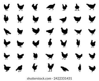 Hen silhouette vector art white background