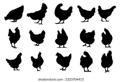 hen silhouette vector bundle set