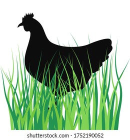 Hen Silhouette. Vector Illustration For Backgrounds, Logos, Stickers, Labels, Tags And Other Design.