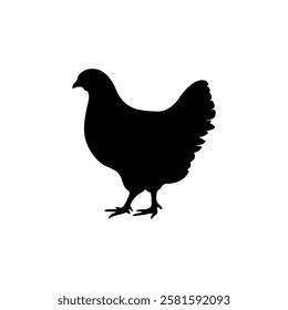 Hen silhouette vector illustration on white background