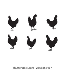 Hen silhouette vector Style with white background