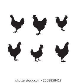 Hen silhouette vector Style with white background