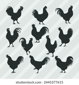 Hen Silhouettes vector bundle, Set of Cock silhouette collection 