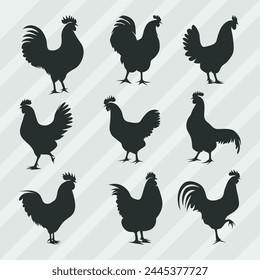 Hen Silhouettes vector bundle, Set of Cock silhouette collection 