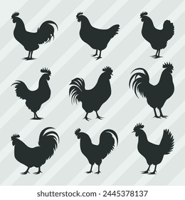 Hen Silhouettes vector bundle, Set of Cock silhouette collection 