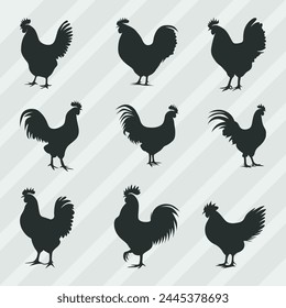 Hen Silhouettes vector bundle, Set of Cock silhouette collection 