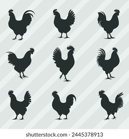 Hen Silhouettes vector bundle, Set of Cock silhouette collection 