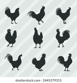 Hen Silhouettes vector bundle, Set of Cock silhouette collection 