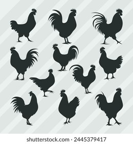 Hen Silhouettes vector bundle, Set of Cock silhouette collection 