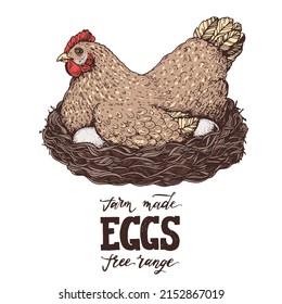 Hen sitting in the nest. Hand drawn illustration. Chicken eggs. Farm eggs design template. Vector illustration. Healthy food. Package design elements.	