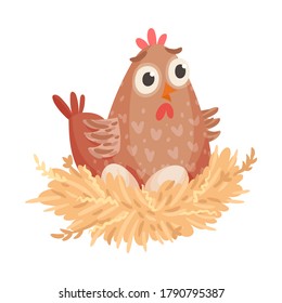 Hen Sitting on Eggs Isolated on White Background Vector Illustration