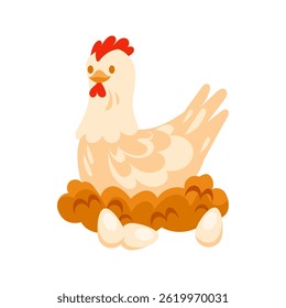 Hen sitting on nest with eggs, poultry farming concept