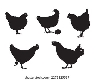 cuando vectorial. juego de silueta de pollo de gallina