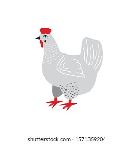 A hen. Vector drawing of a gray chicken in flat style. Cartoon drawing. Farm animals