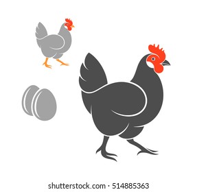 Hen. Vector illustration. Isolated hens with eggs on white background
