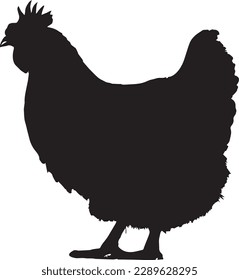 hen vector. hen silhouette vector file