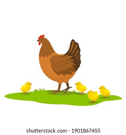 the hen walks on the green grass with her chickens. vector illustration isolated on white background