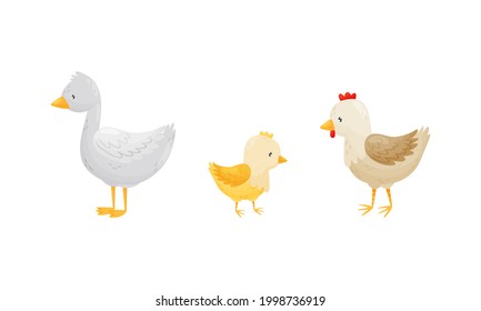 Hen with Yellow Chick and Goose as Farm Animal Vector Set