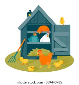 Henhouse with funny birds on a green lawn vector illustration cartoon style