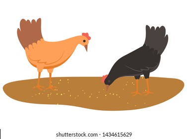 Hens closeup vector, chicken eating wheat from ground breeding of domestic animals for getting poultry meat. Isolated birds with feathers flat style