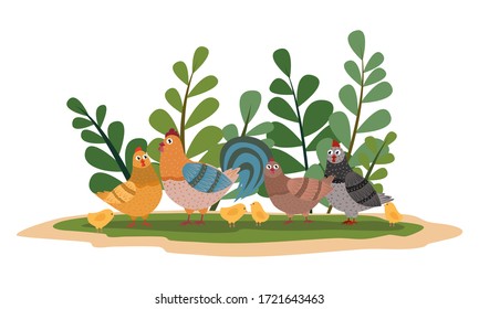 Hens, cockerel and chickens in a poultry yard surrounded by tall green grass. Vector children cartoon illustration