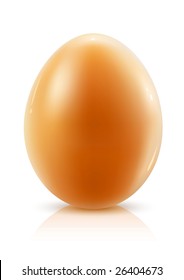 Huevo de gallina aislado en fondo blanco - ilustración vectorial