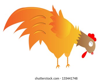 A Hens are feeding on a white background