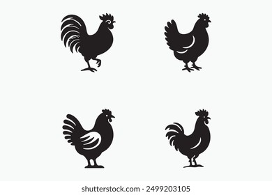 Hens are omnivorous, foraging for seeds, insects, and occasionally small animals.