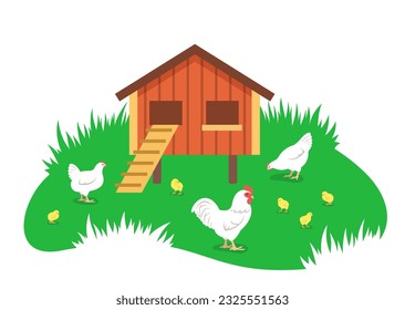 Hens, rooster and chicks grazing around a chicken coop in a green grass. Breeding chickens on an eco farm. Flat cartoon illustration. Domestic farm birds, poultry, male and female with offspring