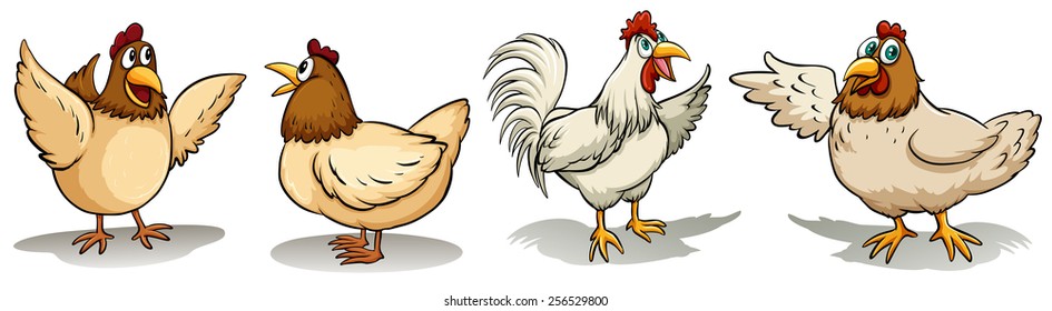 Hens and rooster on a white background