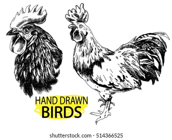 
Hens. Set of images with roosters. Drawing by hand in vintage style.