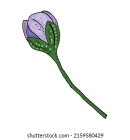Hepatica nobilis elements. Hand drawn spring flower. Delicate buds, petals, leaves. Contour vector design for coloring, printing, poster, textiles, books.