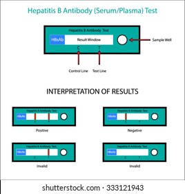 Hepatitis B Antibody Test