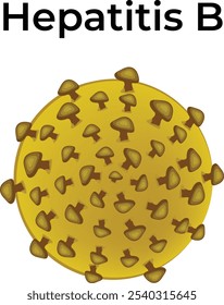 Hepatitis B Vrius Vector Illustration