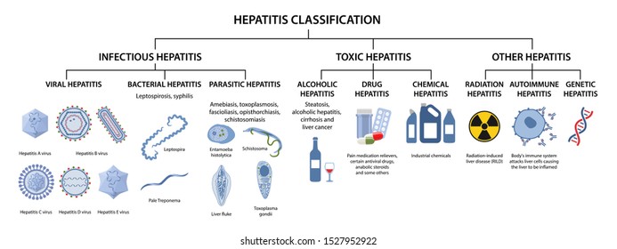 Hepatitis classification. Types of hepatitis: infectious, viral, bacterial, parasitic, toxic, alcoholic, drug,  autoimmune, radiation hepatitis. Vector illustration in flat style over white background