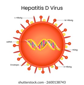 Hepatitis D Virus Structure and Components