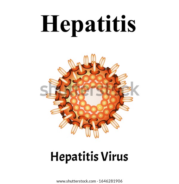 Hepatitis virus structure. Viral infection\
Hepatitis. Sexually transmitted diseases. Infographics. Vector\
illustration on isolated\
background.
