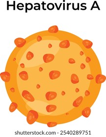 Hepatitis A virus Vector Illustration