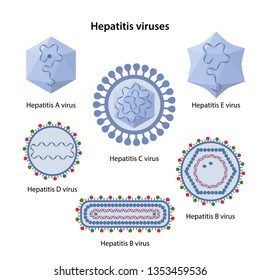 Hepatitis viruses of liver. Structure of hepatitis A, B, C, D, E viruses. Vector illustration in flat style isolated over white background.