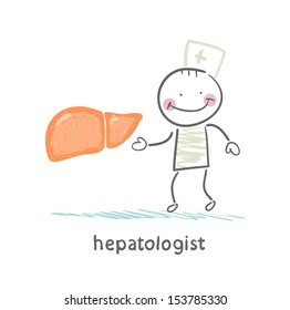 hepatologist with the liver