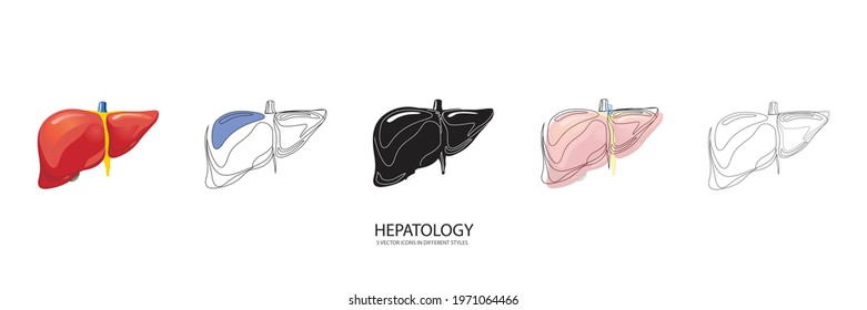 hepatology set vector type icon