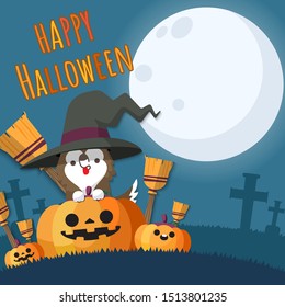 Heppy Halloween witch dog on Jack-o-lantern pumpkins with a broom.Vector illustration.